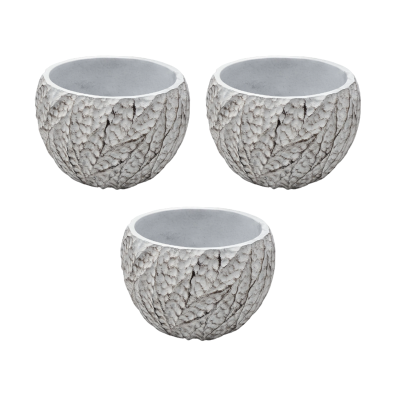Set 3 Macetero Maceta Acabado Cemento Relieve Hojas Blanco M-0