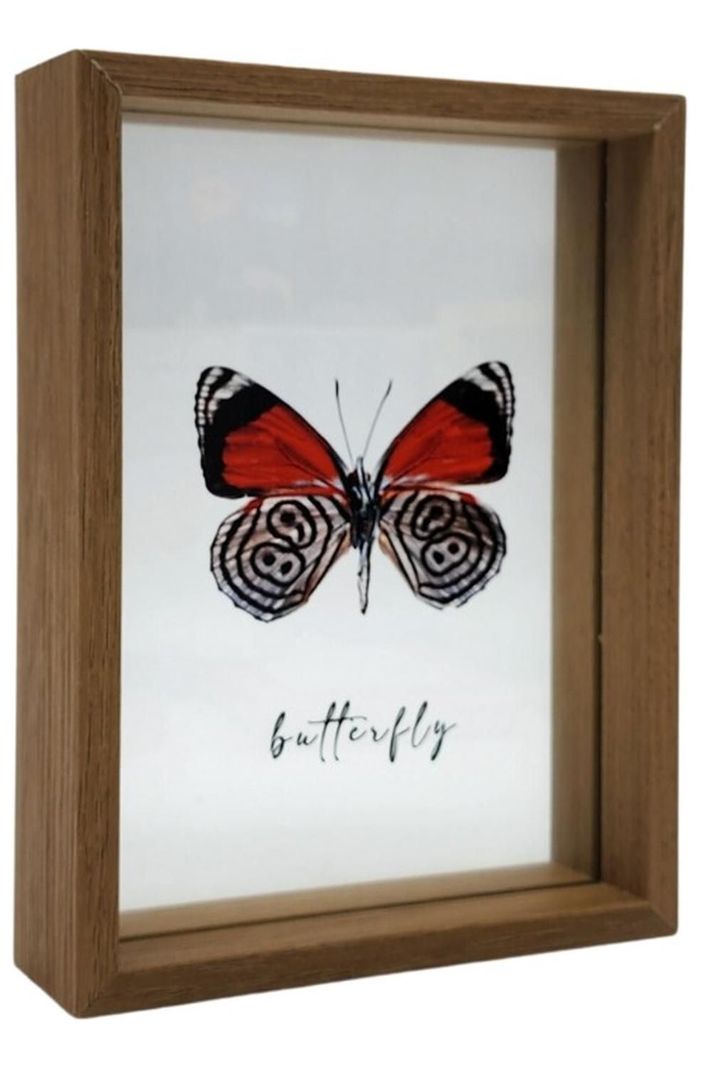 Cuadro De Vidrio Marco Madera Diseño Mariposa Grande-1