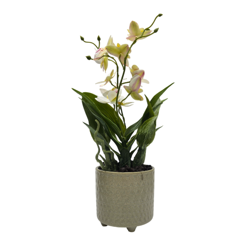 Planta Artificial Orquidea Blanco Decorativa Macetero Loza-0