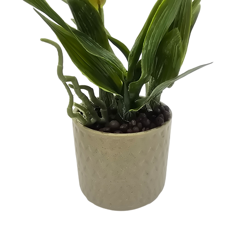 Planta Artificial Orquidea Blanco Decorativa Macetero Loza-2