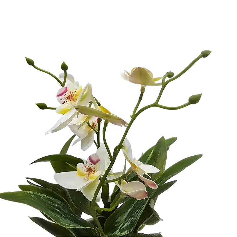 Planta Artificial Orquidea Blanco Decorativa Macetero Loza-3