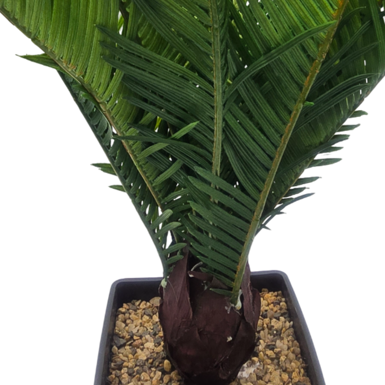 Planta Artificial Palmera Macetero Plastico Negro Grande-2