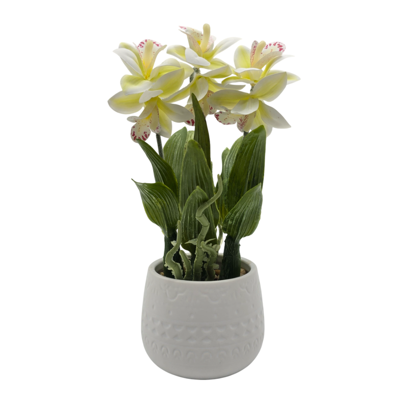 Planta Artificial Orquidea Blanca Decorativa Macetero Loza-0