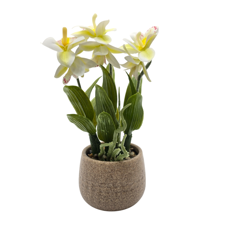 Planta Artificial Orquidea Blanca Decorativa Macetero Loza-1