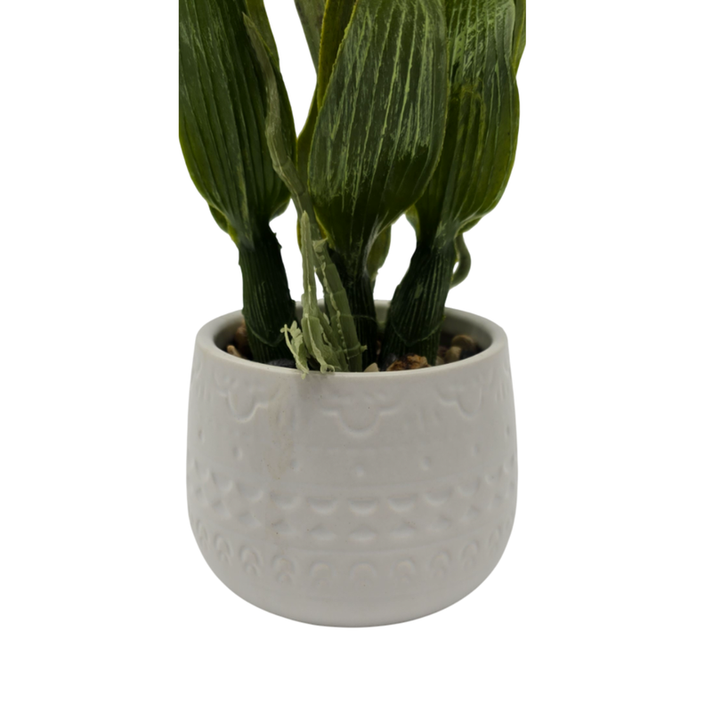 Planta Artificial Orquidea Blanca Decorativa Macetero Loza-2