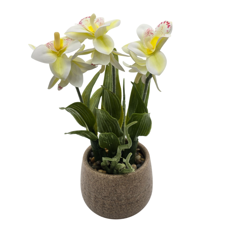 Planta Artificial Orquidea Blanca Decorativa Macetero Loza-3