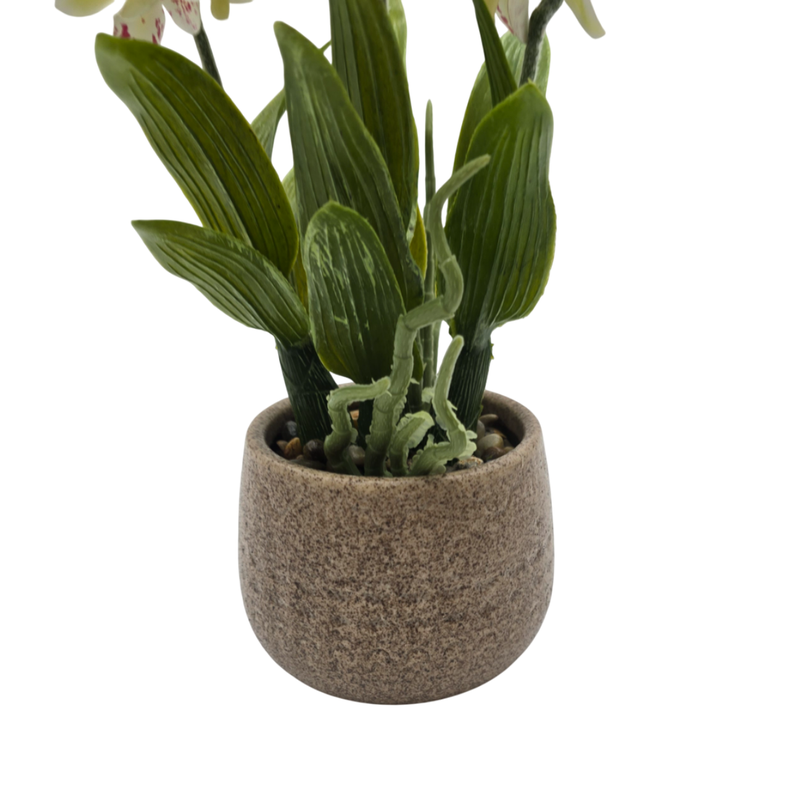 Planta Artificial Orquidea Blanca Decorativa Macetero Loza-4