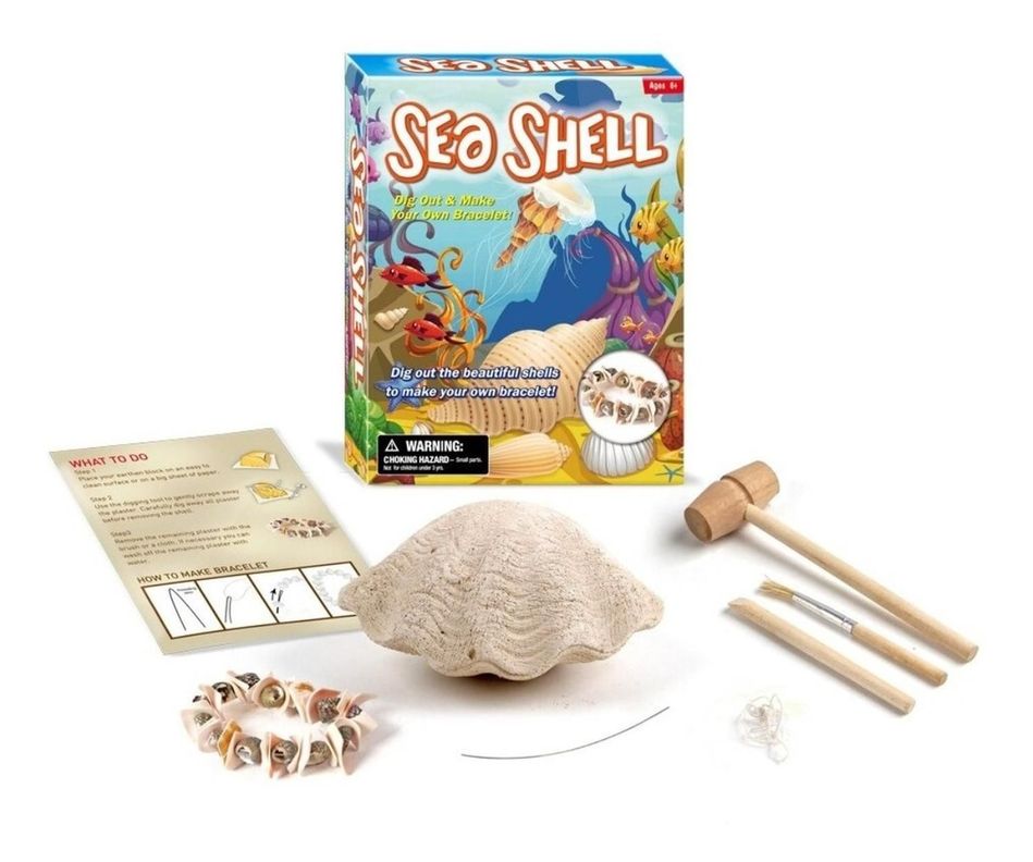 Kit Excavación Conchita De Mar Y Brazalete Juguete Educativo-0