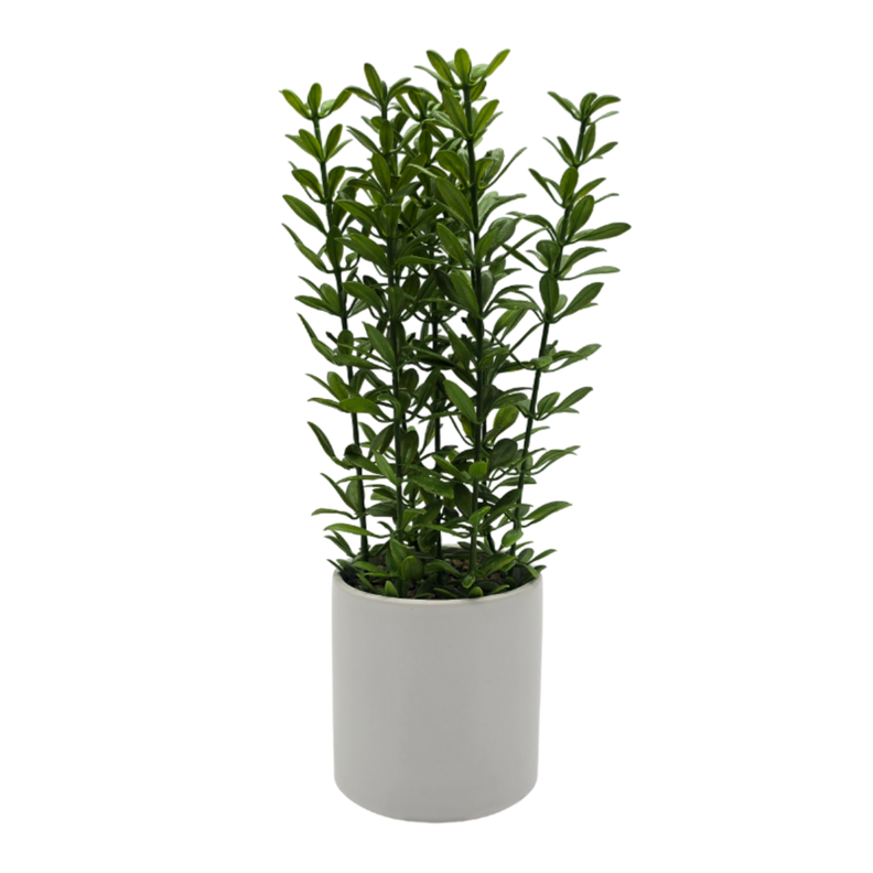 Planta Artificial Macetero De Ceramica Blanco Hojas Verdes-0