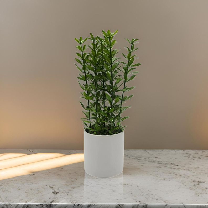 Planta Artificial Macetero De Ceramica Blanco Hojas Verdes-1