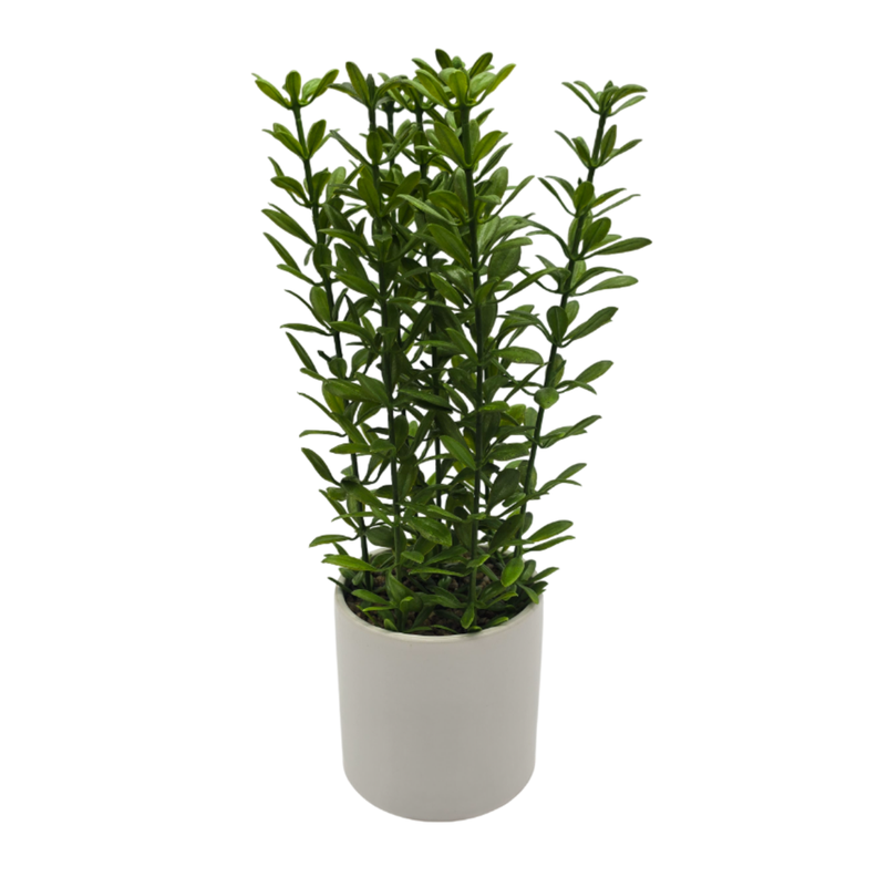 Planta Artificial Macetero De Ceramica Blanco Hojas Verdes-3