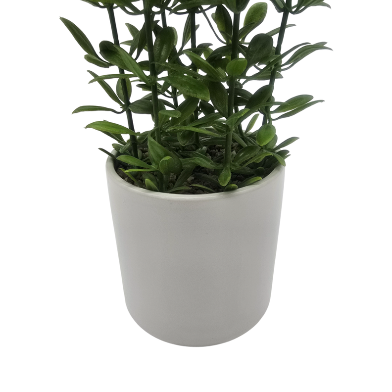 Planta Artificial Macetero De Ceramica Blanco Hojas Verdes-5