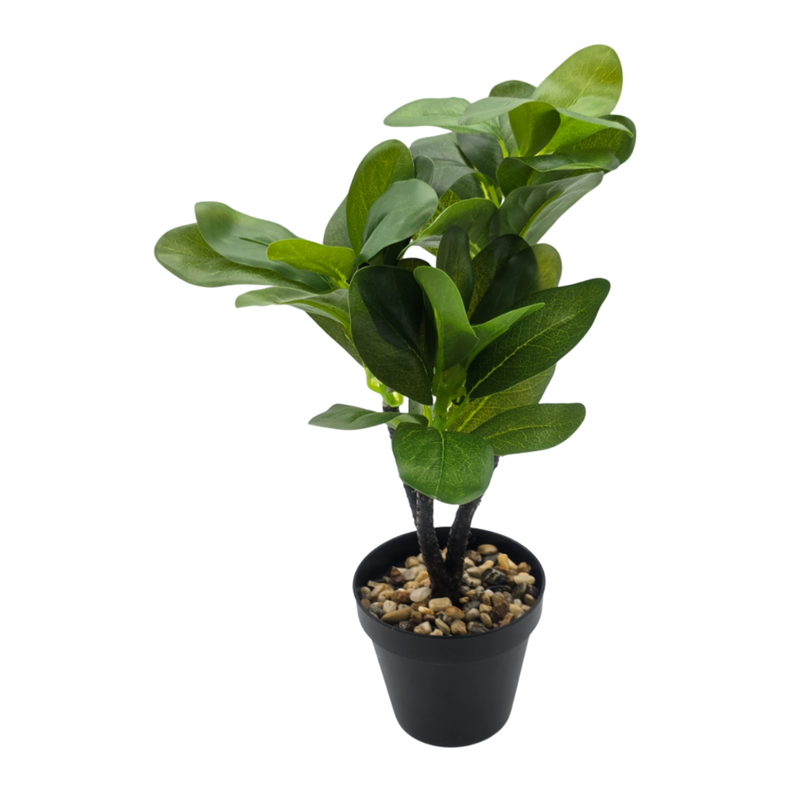 Planta Artificial Hoja Verde Deco Macetero Plastico Negro-1