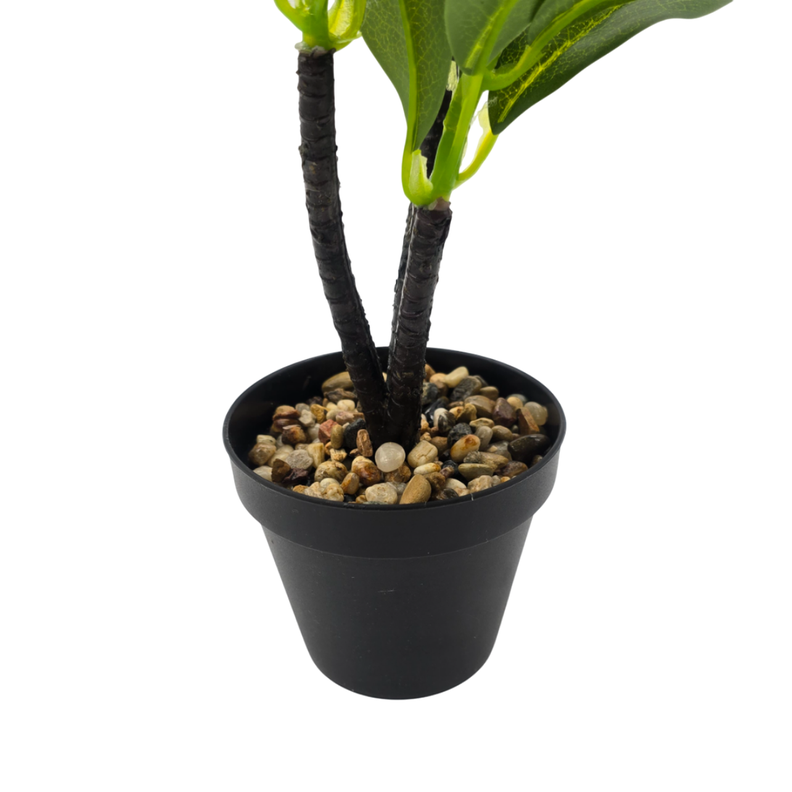 Planta Artificial Hoja Verde Deco Macetero Plastico Negro-2
