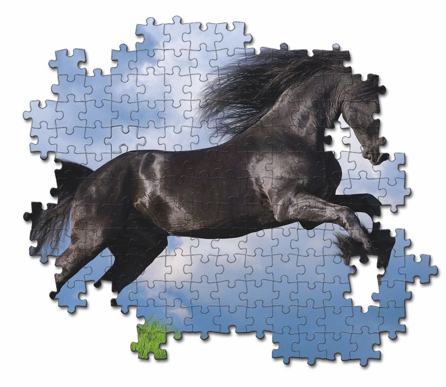 Puzzle 500 piezas Caballo Negro Fresia-2