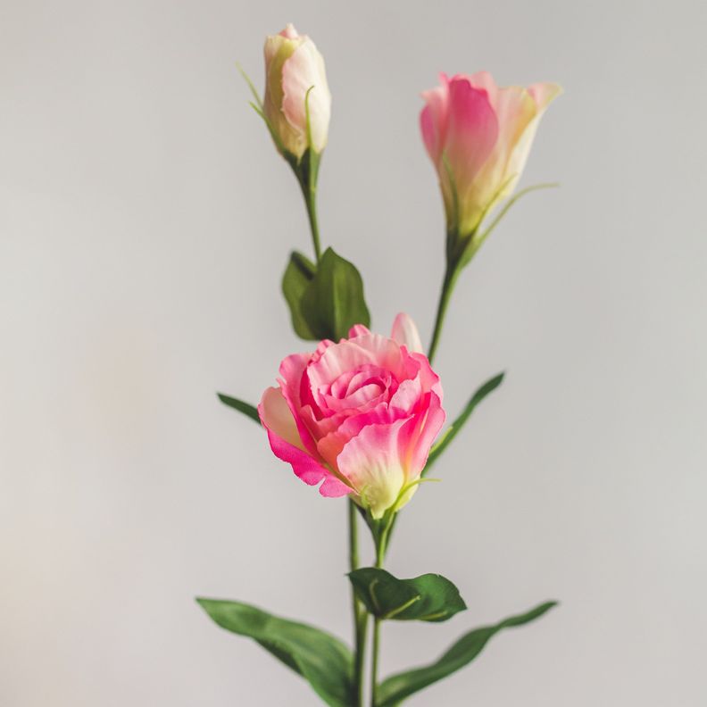 Lisianthus Rosado Flor Artificial by Le Bouquet 63 cm-2
