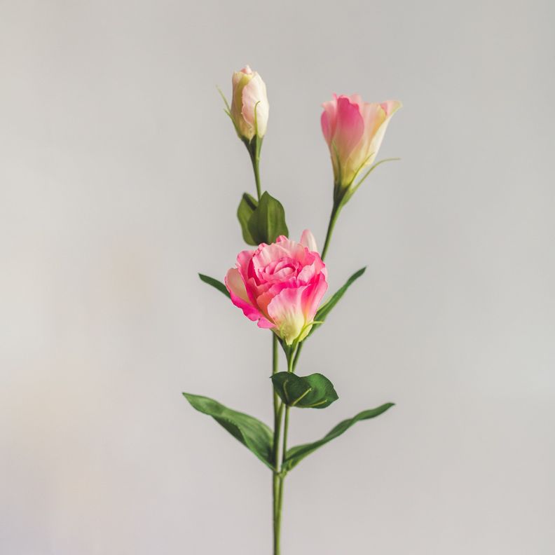 Lisianthus Rosado Flor Artificial by Le Bouquet 63 cm-1