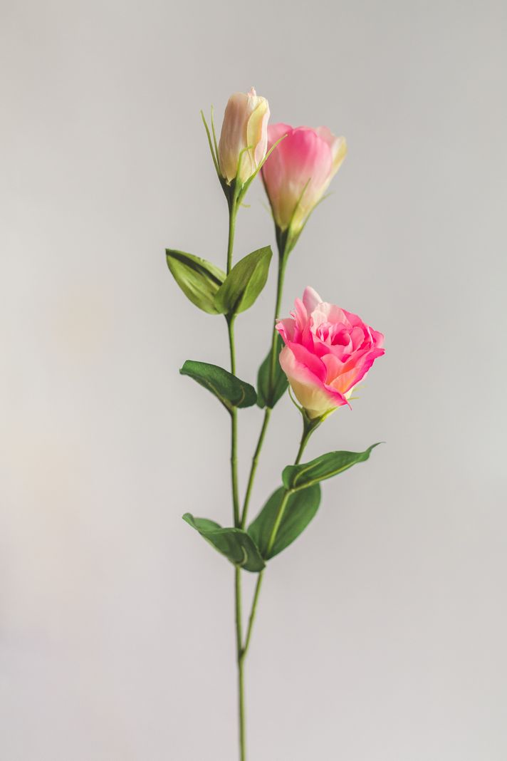 Lisianthus Rosado Flor Artificial by Le Bouquet 63 cm-0