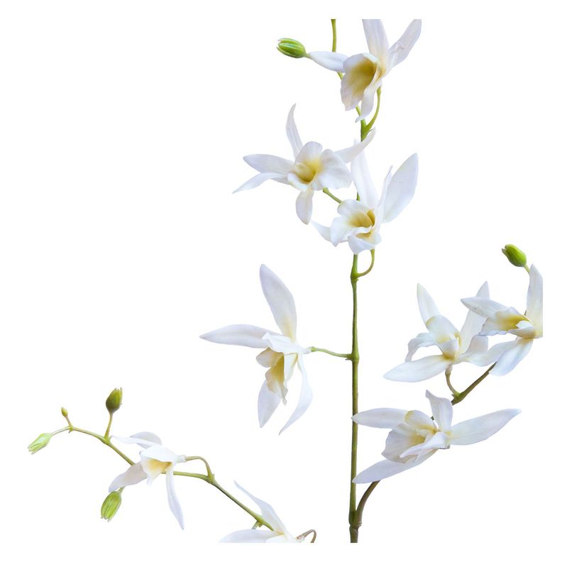 Orquídea Africana Flor Artificial by Le Bouquet 84 cm-1
