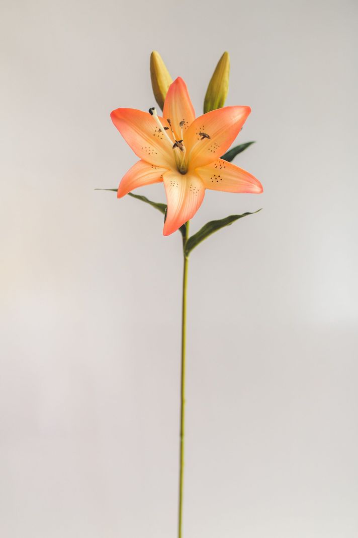 Lilium Naranjo con Rosado Flor Artificial by Le Bouquet 68,5 cm-0