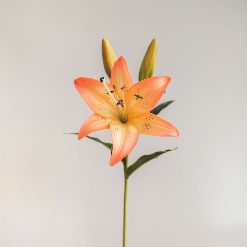 Lilium Naranjo con Rosado Flor Artificial by Le Bouquet 68,5 cm-1