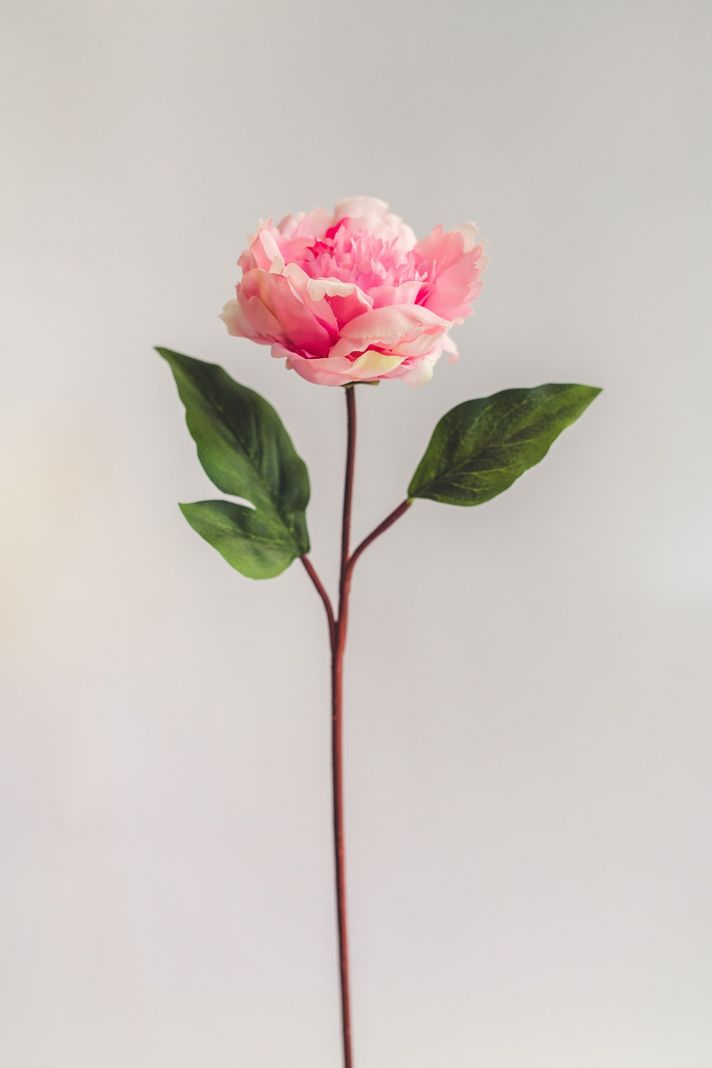 Peonia Rosada Flor Artificial by Le Bouquet 66 cm-0