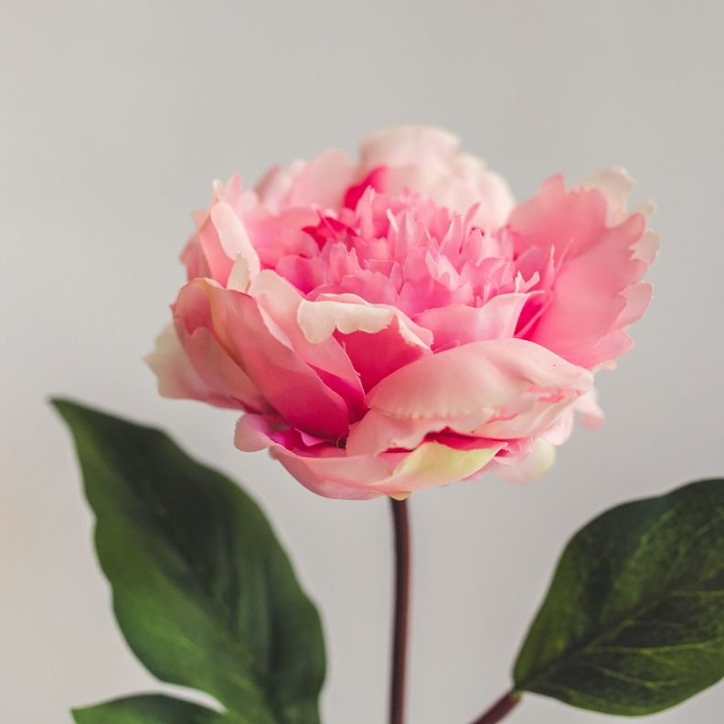 Peonia Rosada Flor Artificial by Le Bouquet 66 cm-2