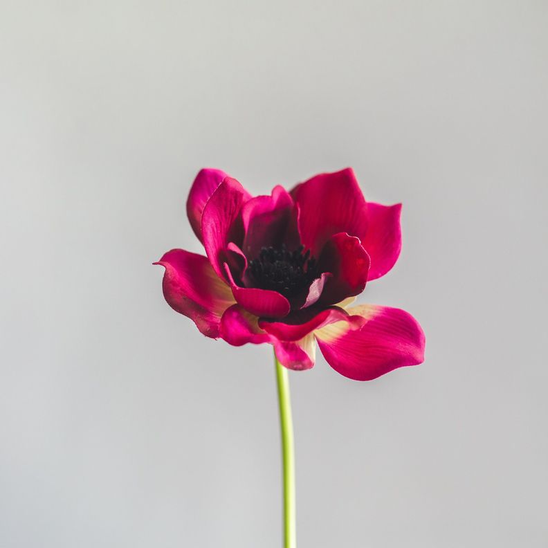 Anemona Morada Flor Artificial by Le Bouquet 40,6 cm-2