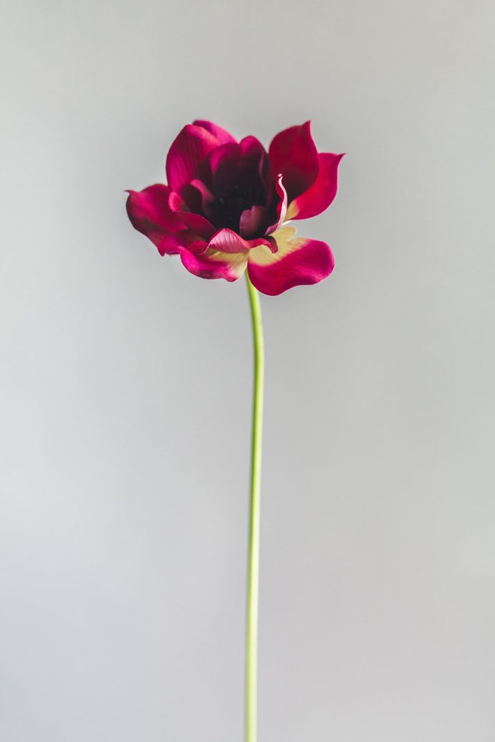 Anemona Morada Flor Artificial by Le Bouquet 40,6 cm-0