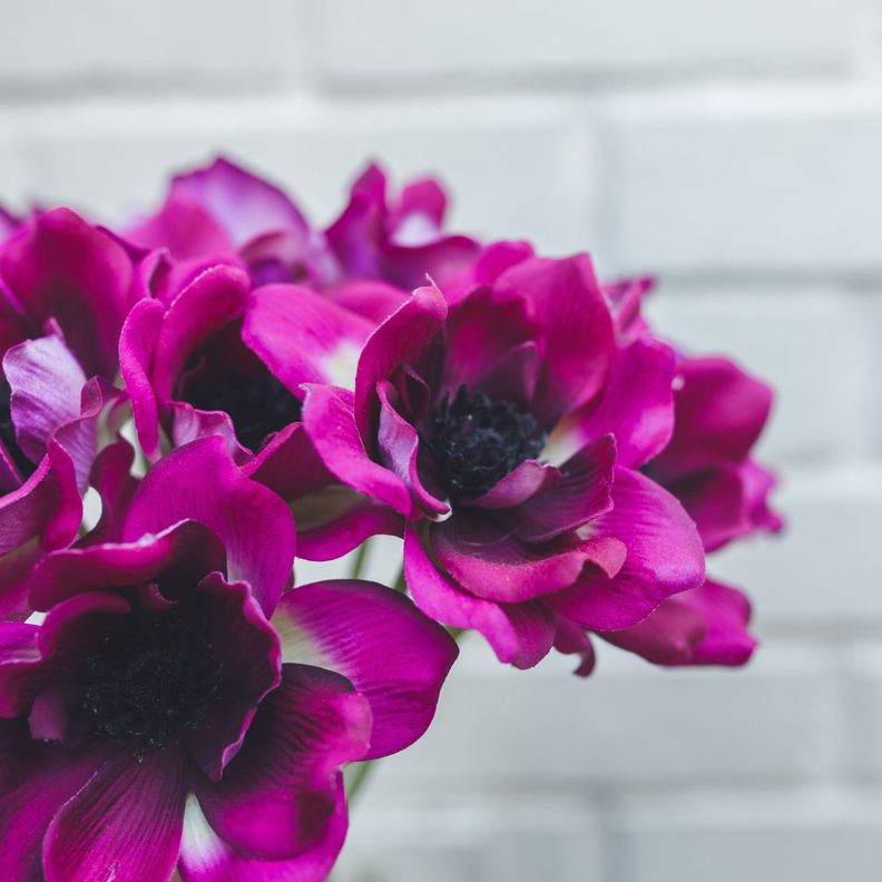 Anemona Morada Flor Artificial by Le Bouquet 40,6 cm-6