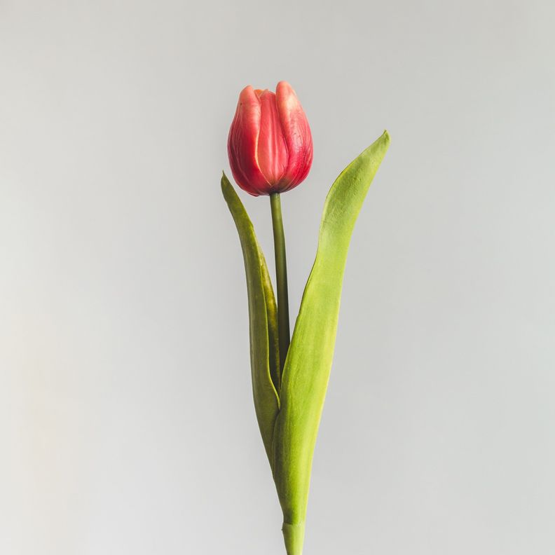 Tulipan Rojo Flor Artificial by Le Bouquet 48 cm-2