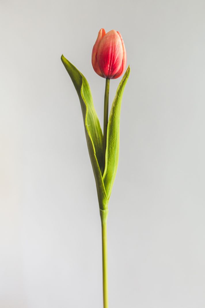 Tulipan Rojo Flor Artificial by Le Bouquet 48 cm-0