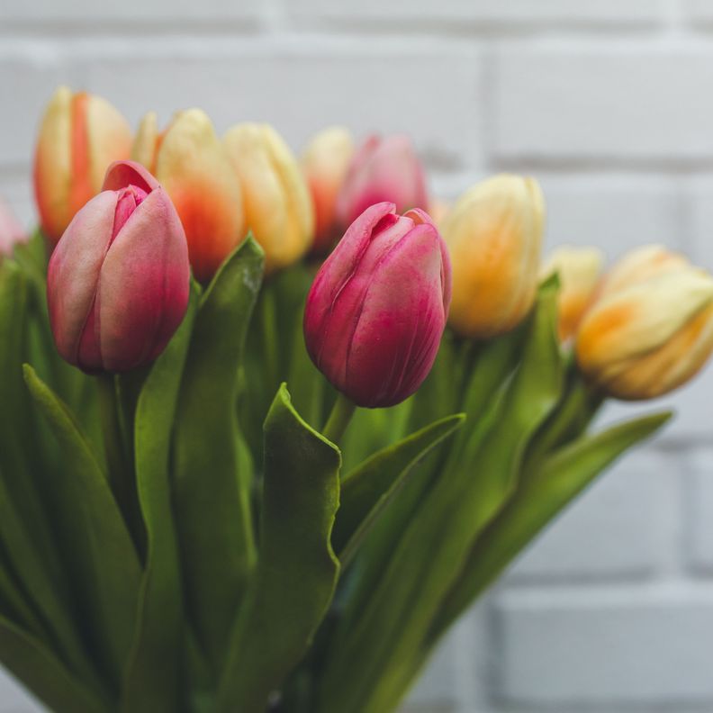 Tulipan Rojo Flor Artificial by Le Bouquet 48 cm-5