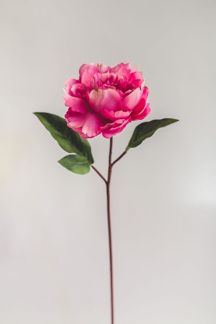 Peonia Fucsia Flor Artificial by Le Bouquet 66 cm-0