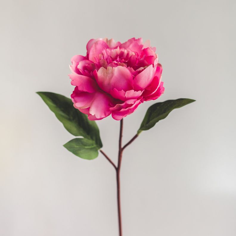 Peonia Fucsia Flor Artificial by Le Bouquet 66 cm-1