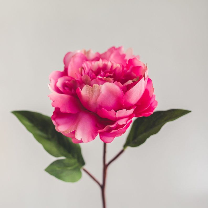 Peonia Fucsia Flor Artificial by Le Bouquet 66 cm-2