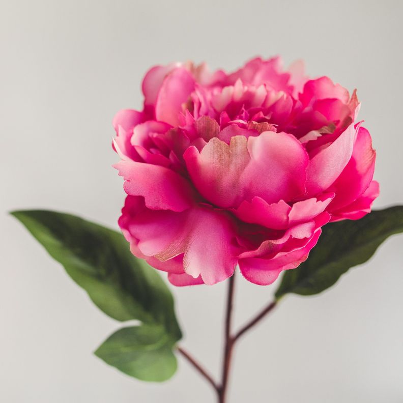 Peonia Fucsia Flor Artificial by Le Bouquet 66 cm-3