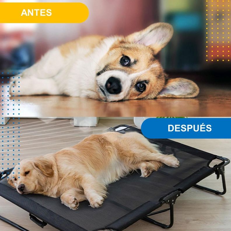 Cama Perro Gato Plegable Refrescante Altura Elevada Petpal-5