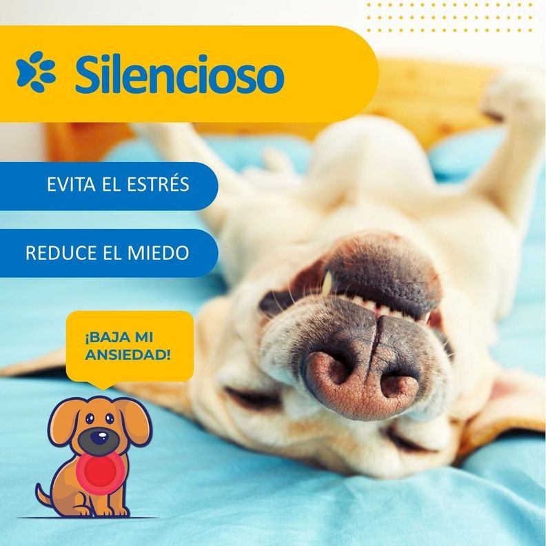 Maquina Corta Pelo Para Perro Gato Set Afeitadora+Accesorios-2