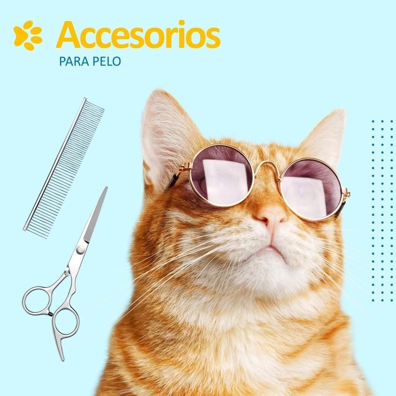 Maquina Corta Pelo Para Perro Gato Set Afeitadora+Accesorios-4