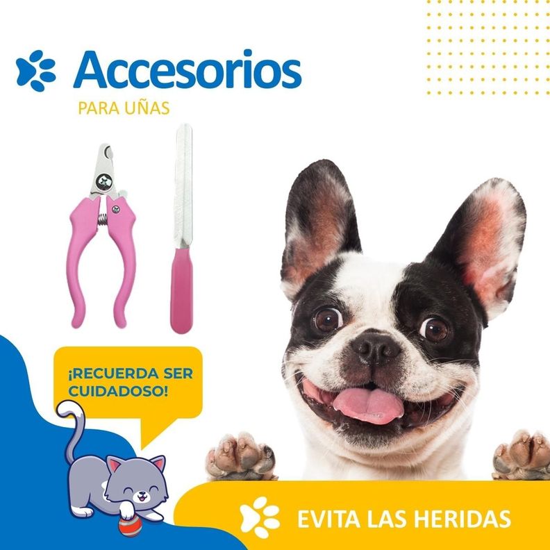 Maquina Corta Pelo Para Perro Gato Set Afeitadora+Accesorios-5