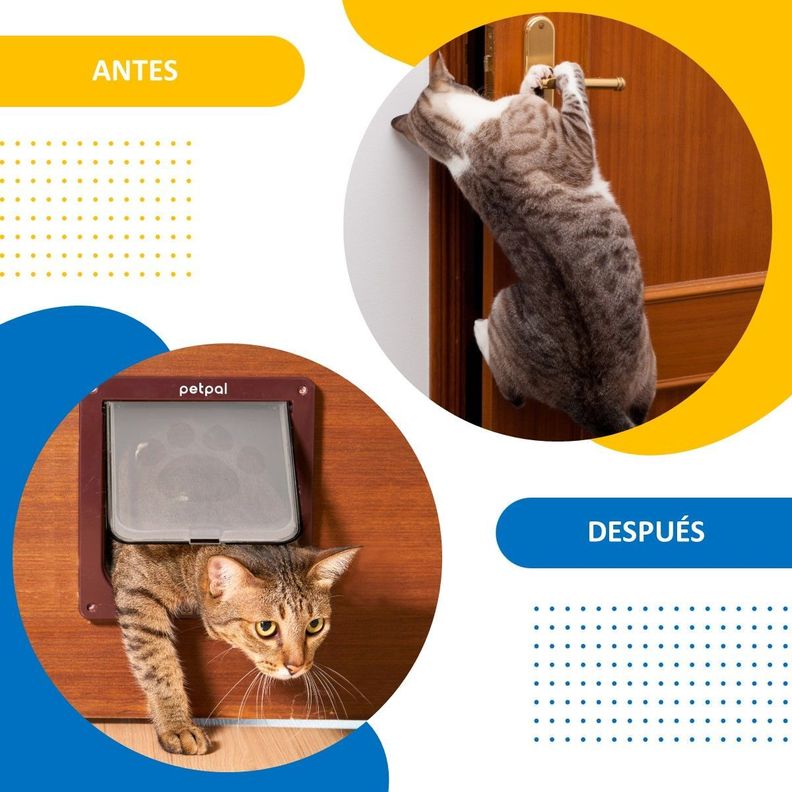 Puerta Abatible Para Perro Gato Mascota Petpal Tamaño Grande-5