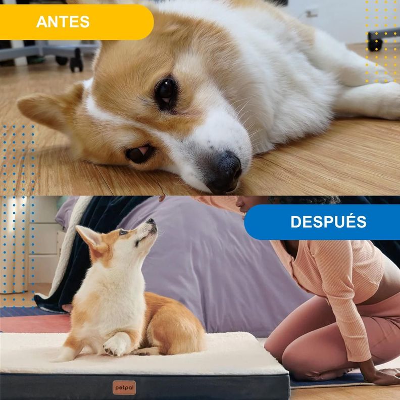 Cama Para Perro Gato Mascota Petpal Mediana Frio y Calor-4