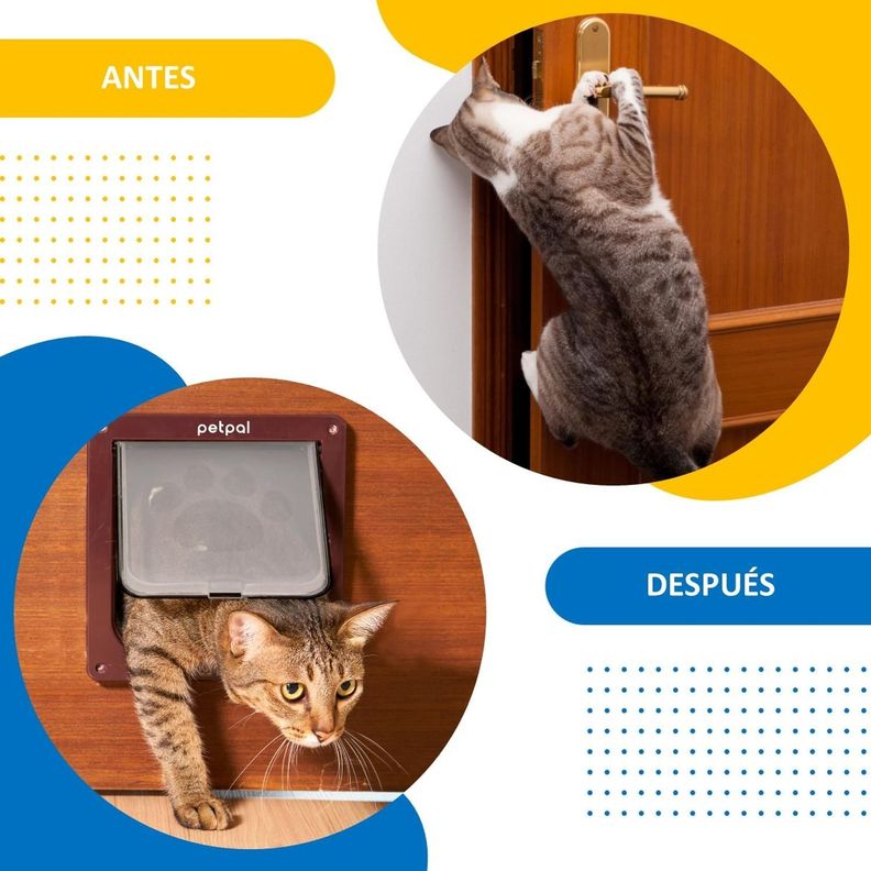 Puerta Abatible Para Perro Gato Mascota Petpal Porte Pequeño-5
