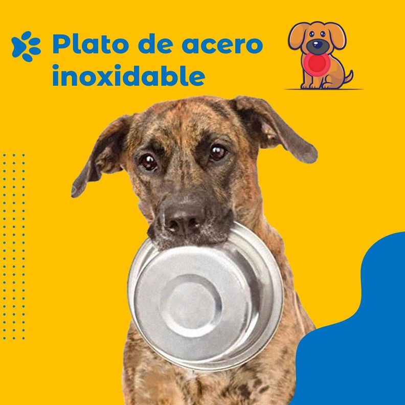 Plato para Perro Anti Ansiedad Petpal + Plato Acero y Mat-6