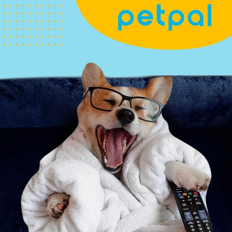 Cama Ordopedica Para Mascota Perros Y Gatos Mediana - PetPal-8