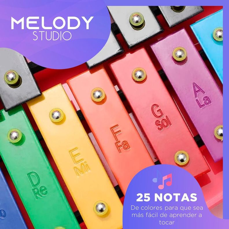 Metalofono Xilofono 25 Notas de Colores Melody con Maleta-1
