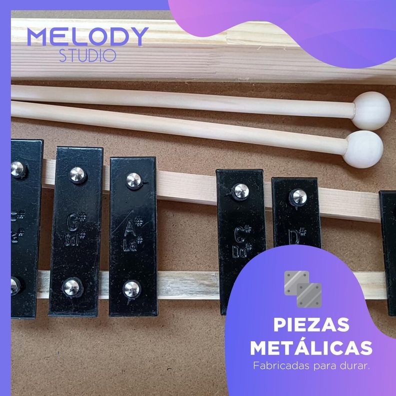 Metalofono Xilofono 25 Notas de Colores Melody con Maleta-3