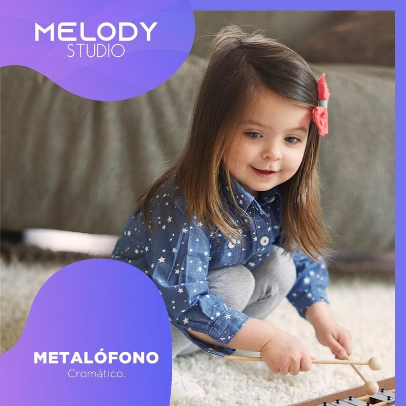 Metalofono Xilofono 25 Notas de Colores Melody con Maleta-6