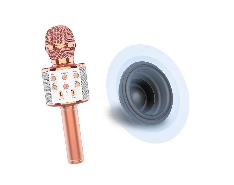 Micrófono Parlante Inalámbrico Karaoke Ws-858l-2